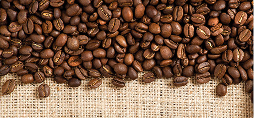 Arabica